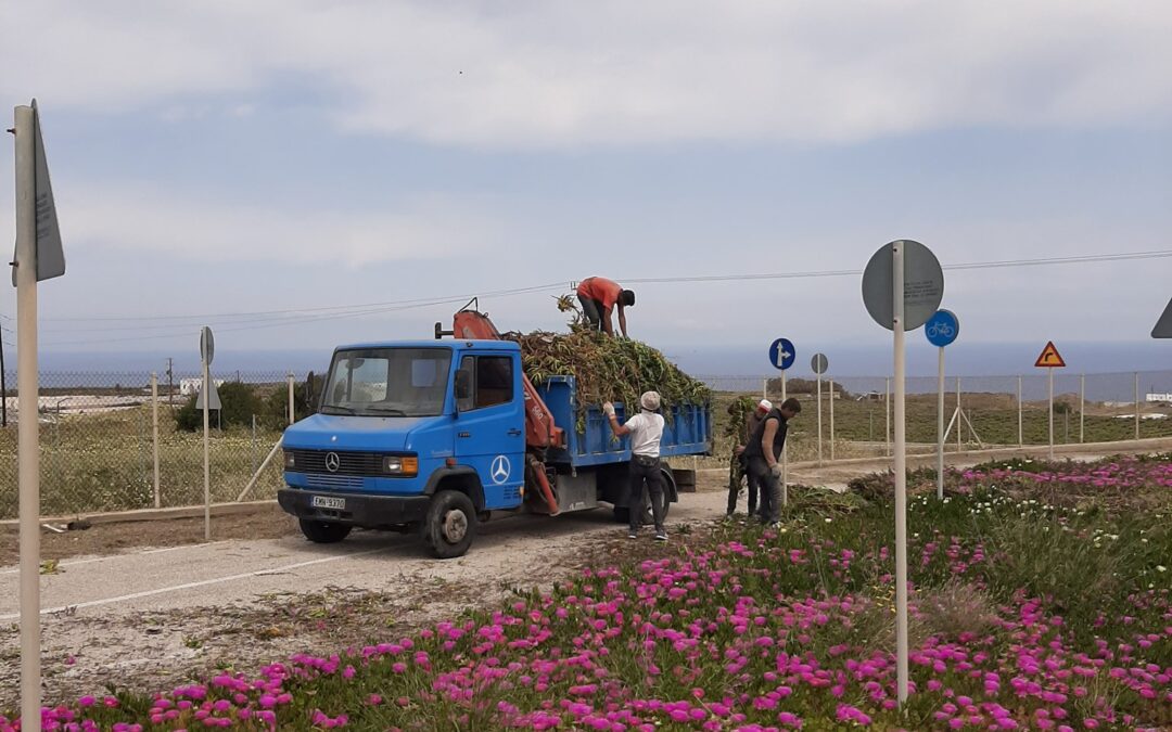 Καθαρισμός πάρκου κυκλοφοριακής αγωγής